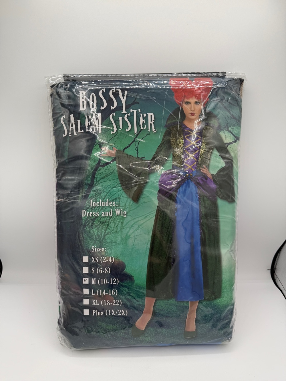 Boss Salem Sister Adult Costume - Black & Purple Dress with Wig